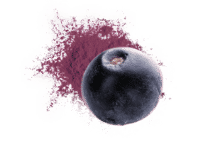 poudre d'açai bio