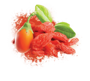 Baies de goji bio