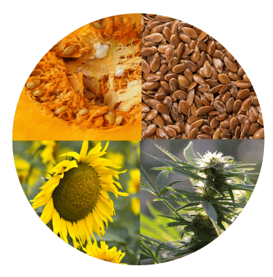 Meilleure protéine naturelle mix vegan