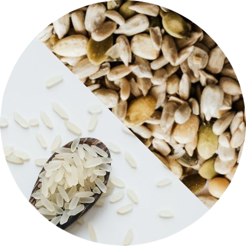 meilleure protéines naturelle pois et riz