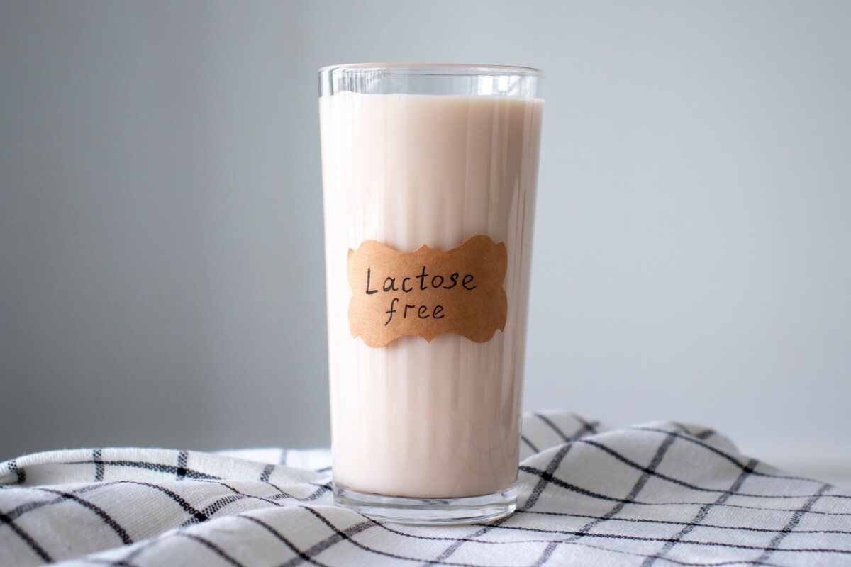 Sans lactose