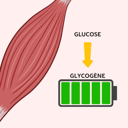 le rôle du sucre sur votre corps